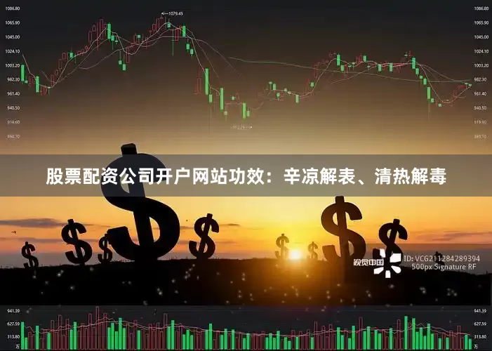 股票配资公司开户网站功效：辛凉解表、清热解毒